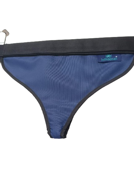 Lead Diaper / Gonald Shield